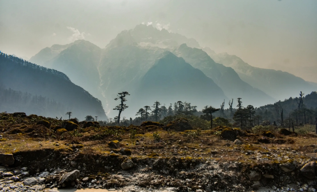 Misty mountain landscape of Northeast India
